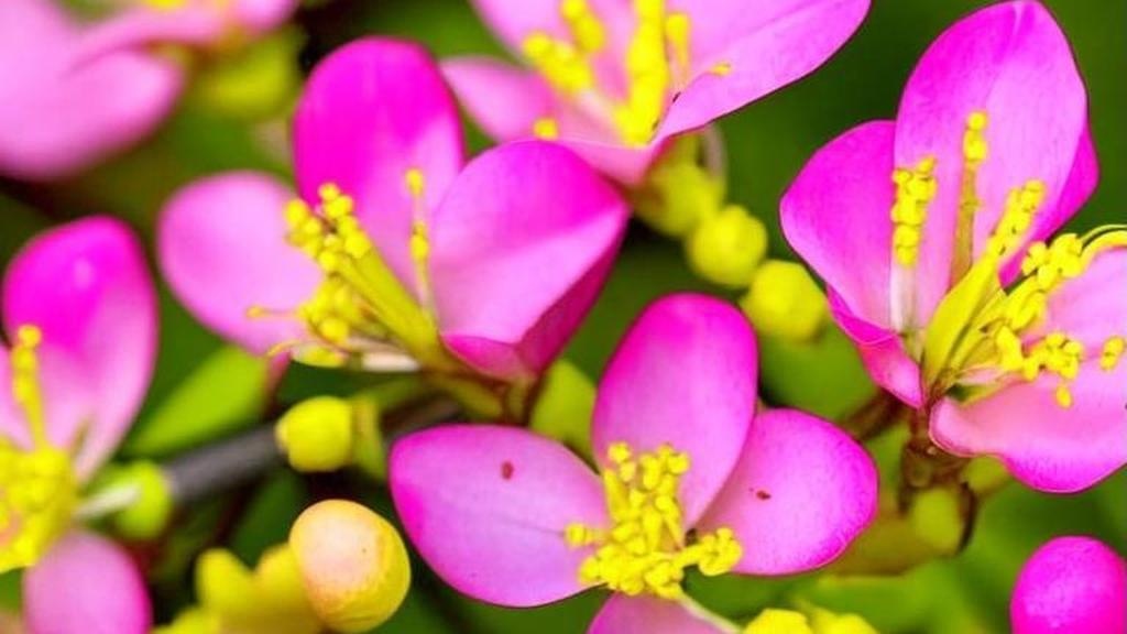 Гостинг: почему люди исчезают без слова и как это влияет на психику